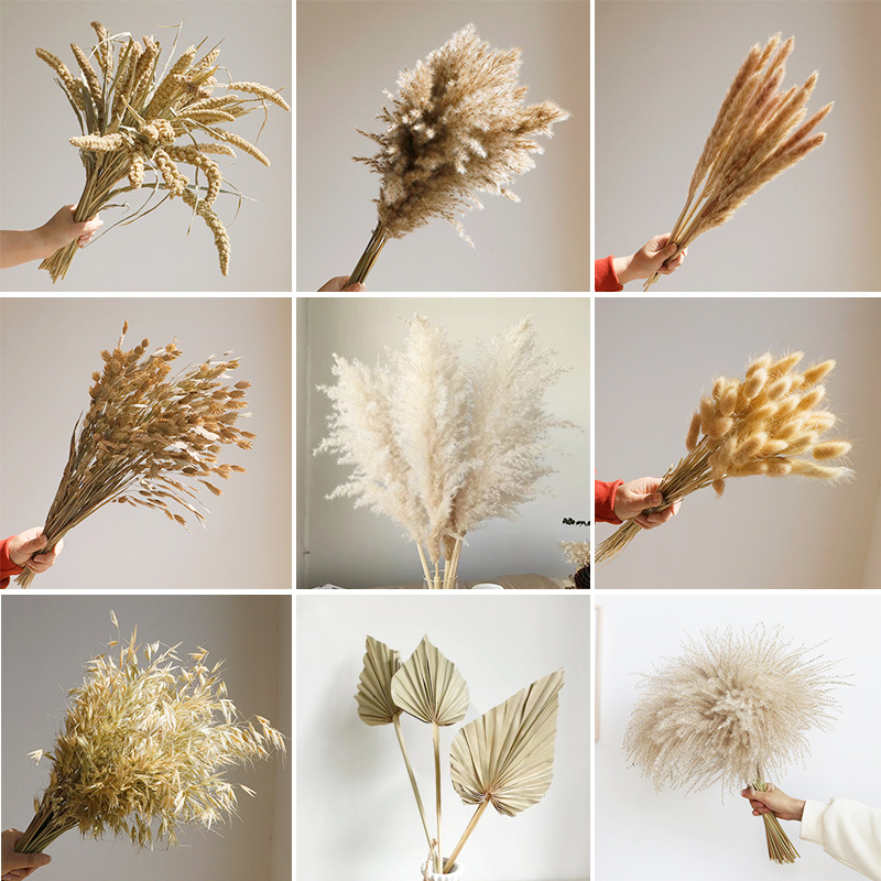 Home Bathroom Exhaust Fan - Flores Secas Wabi-sabi, Flores Naturales de