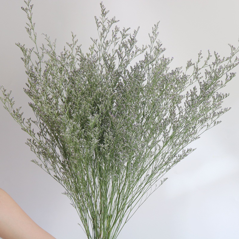 Flores Secas Wabi-sabi, Flores - Home Bathroom Exhaust Fan reseña y precio