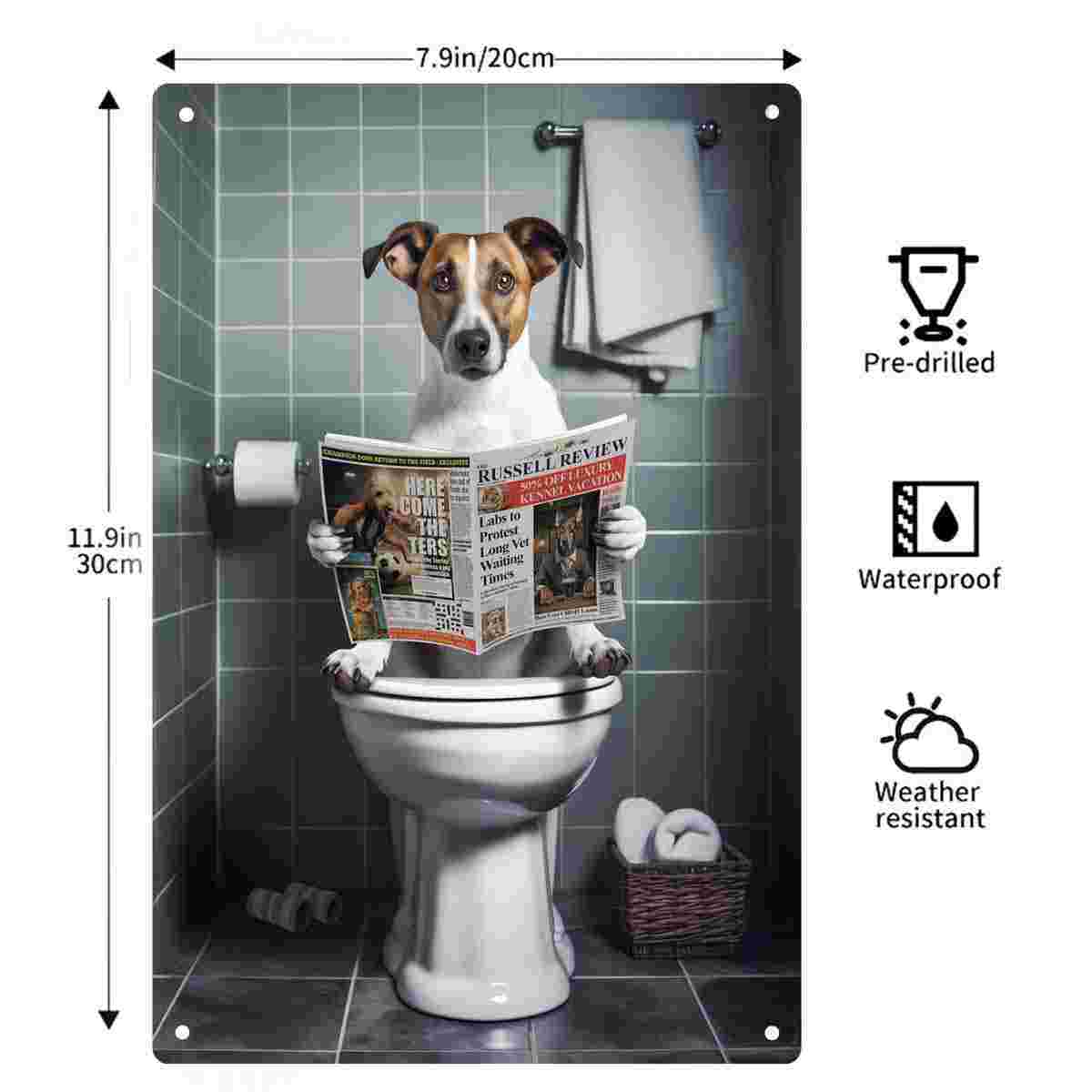 Cuadro Decorativo 2D Plano de  - Home Bathroom Toilet reseña y precio