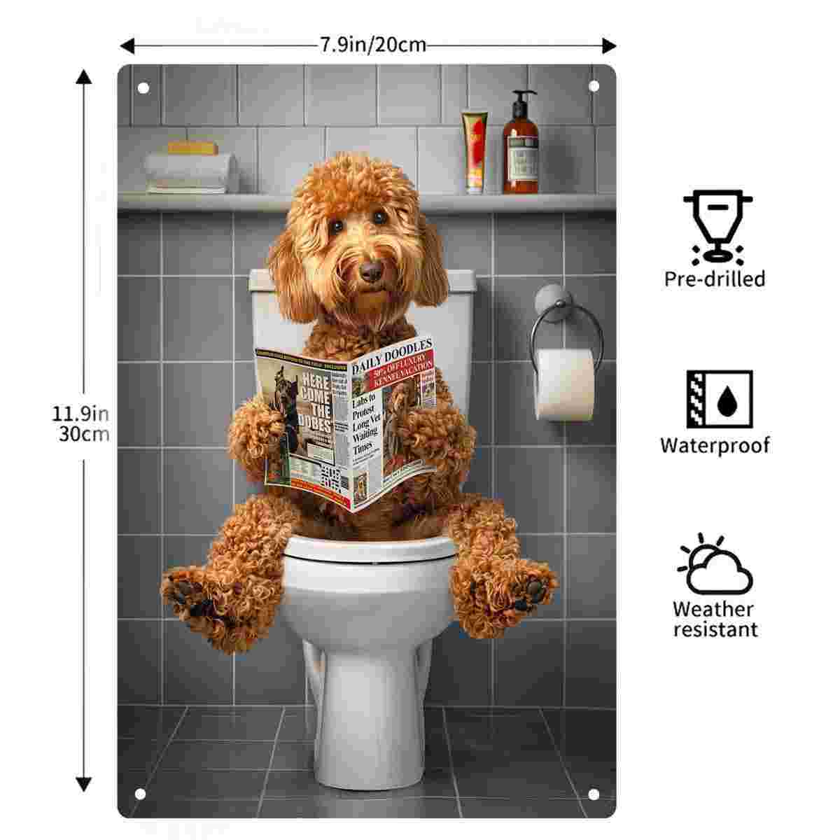 Decoración 2D Plana de 1 Pieza - Home Bathroom Toilet reseña y precio